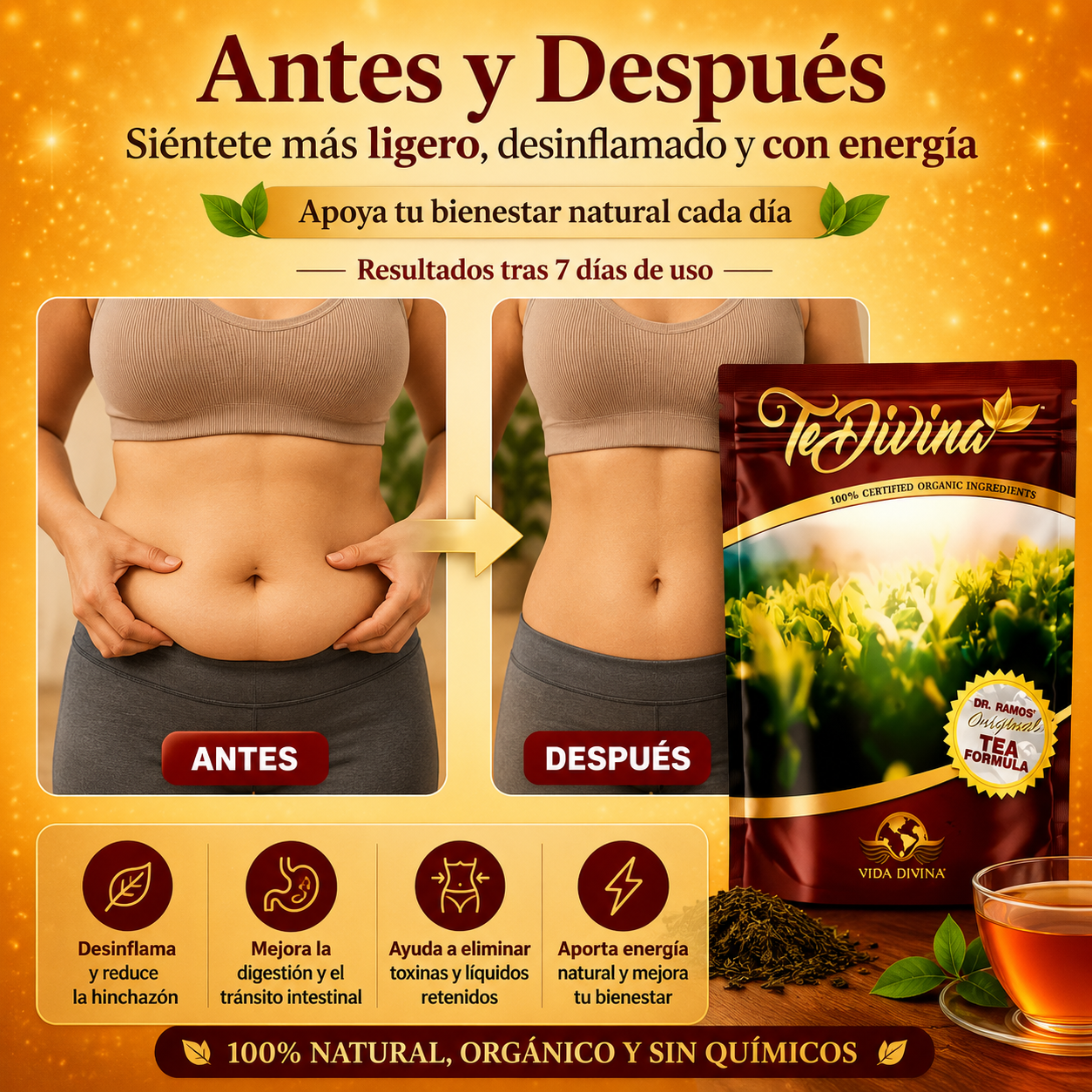 Té Divina: El placer de cuidarte en cada taza